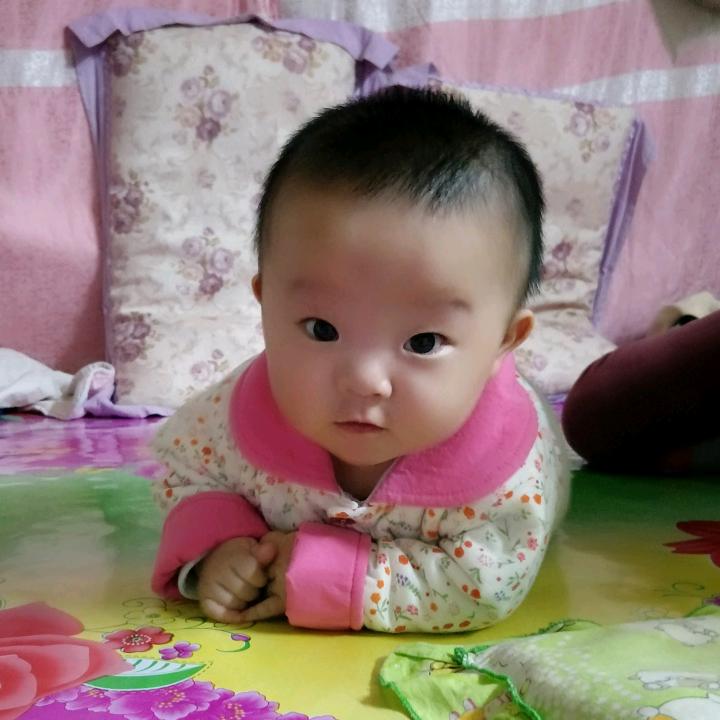 嘉宝9179127106211