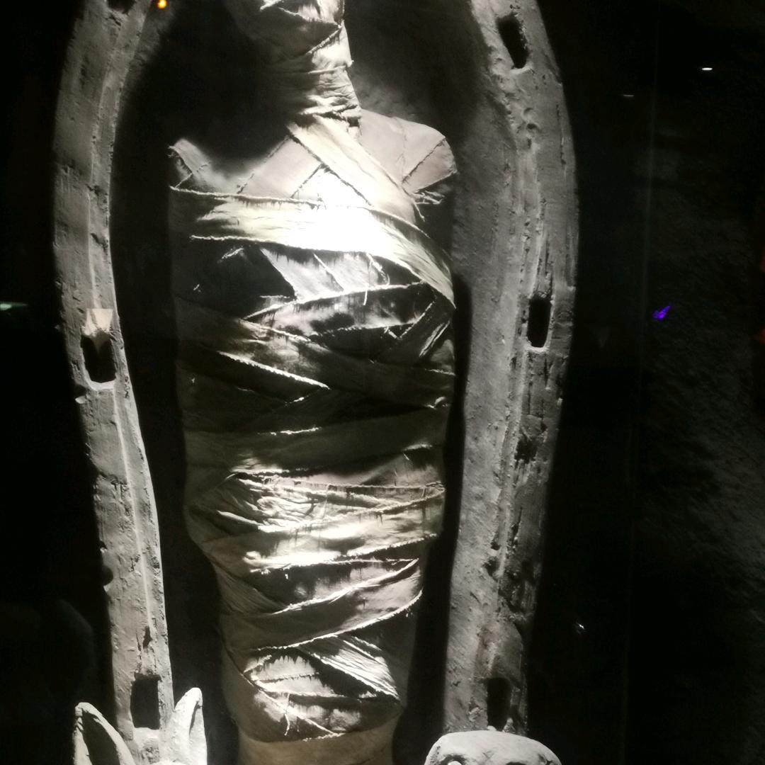 只有一辈子