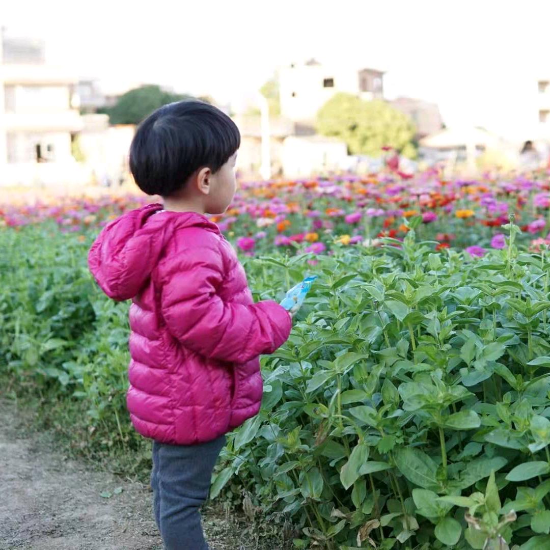 妍意端生  美丽正青  日常
