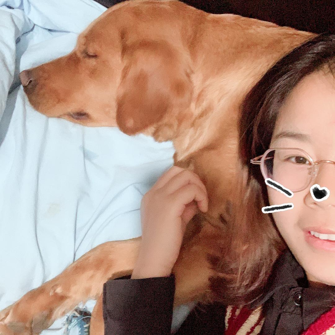 梅梅梅梅梅梅