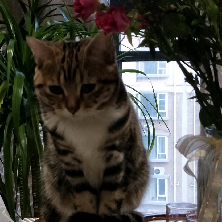 平凡一生！
