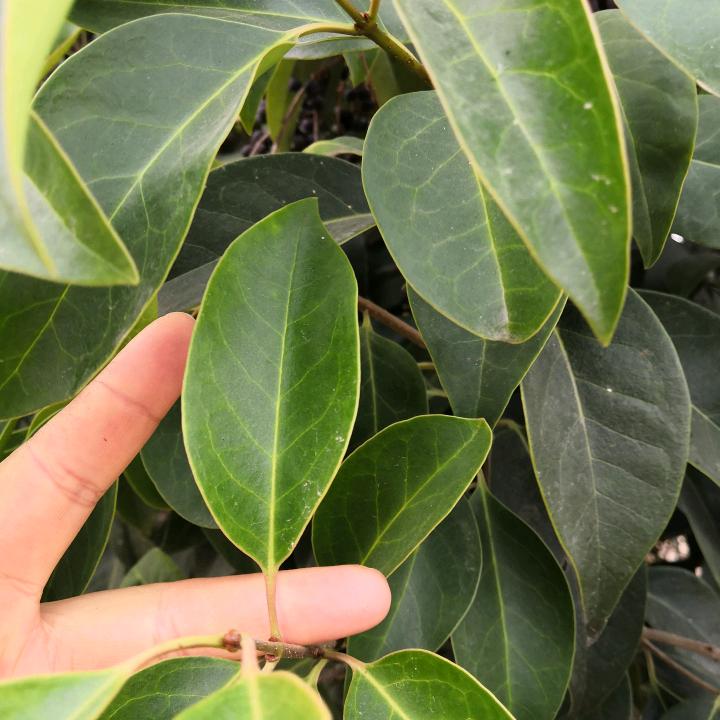 朝气蓬勃铄闹妈