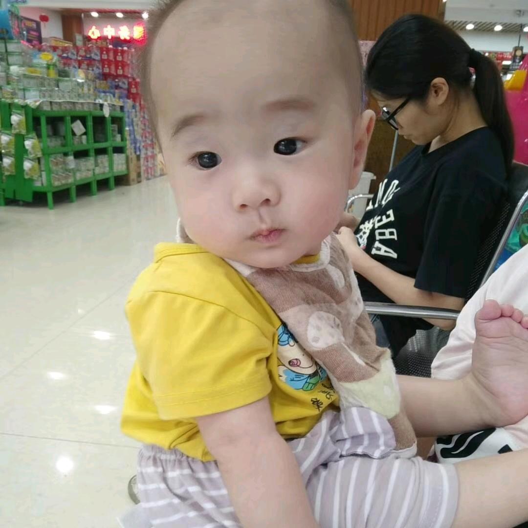 懒猪😊😊