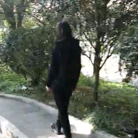 成莉