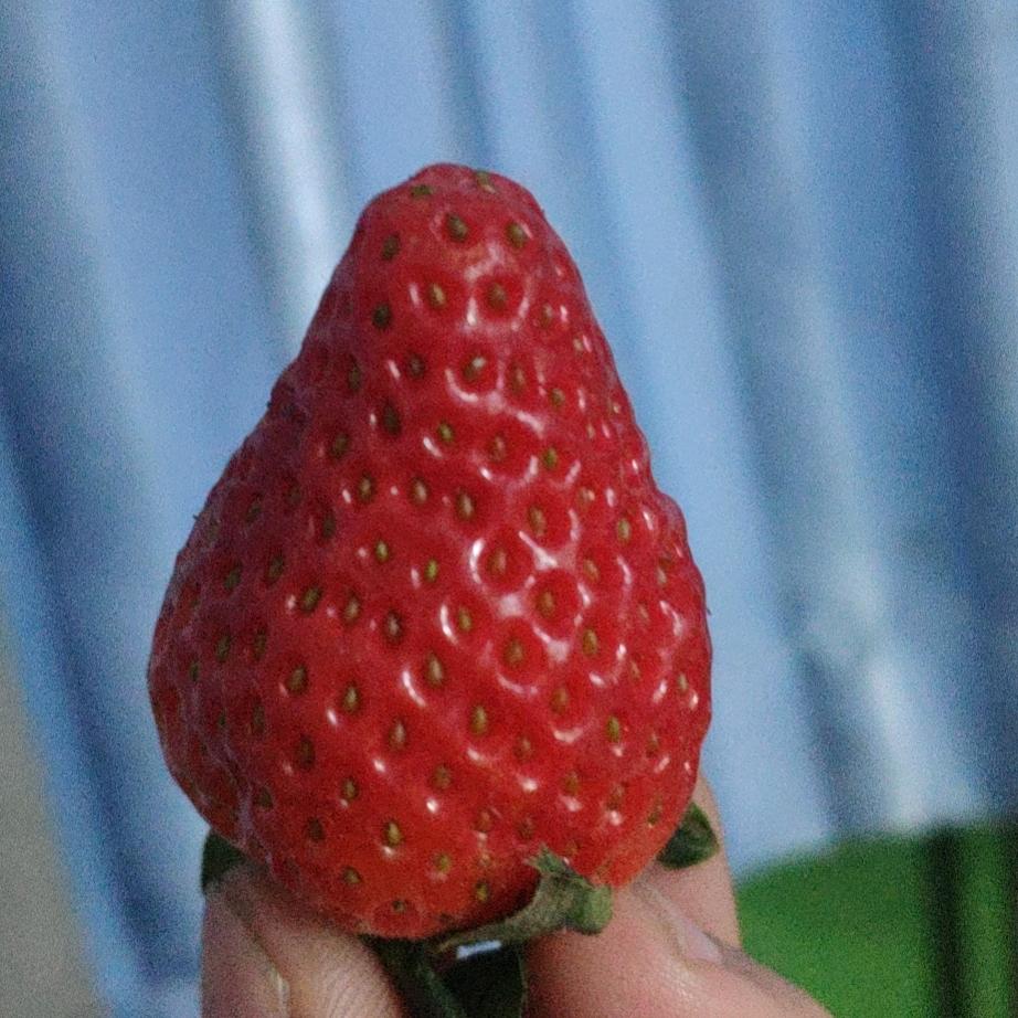 相信自己