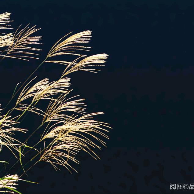 春＾3＾