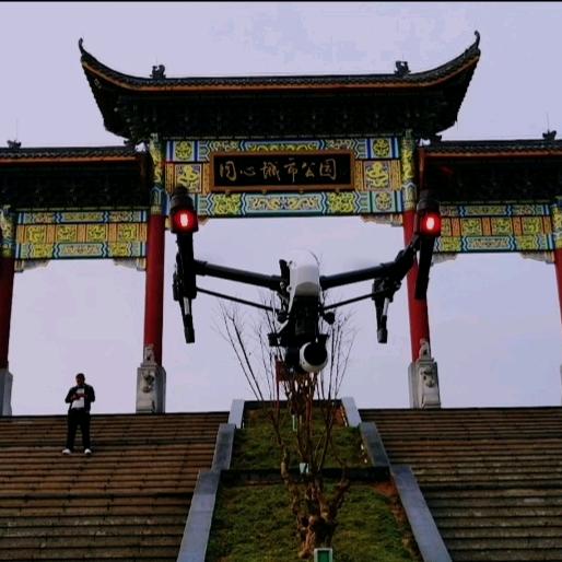 爱飞的尼古拉斯