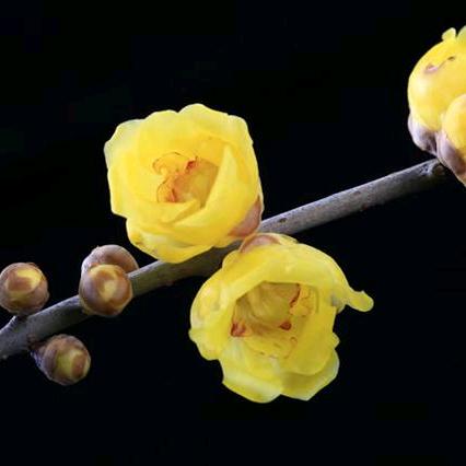 且行且珍惜🇨🇳