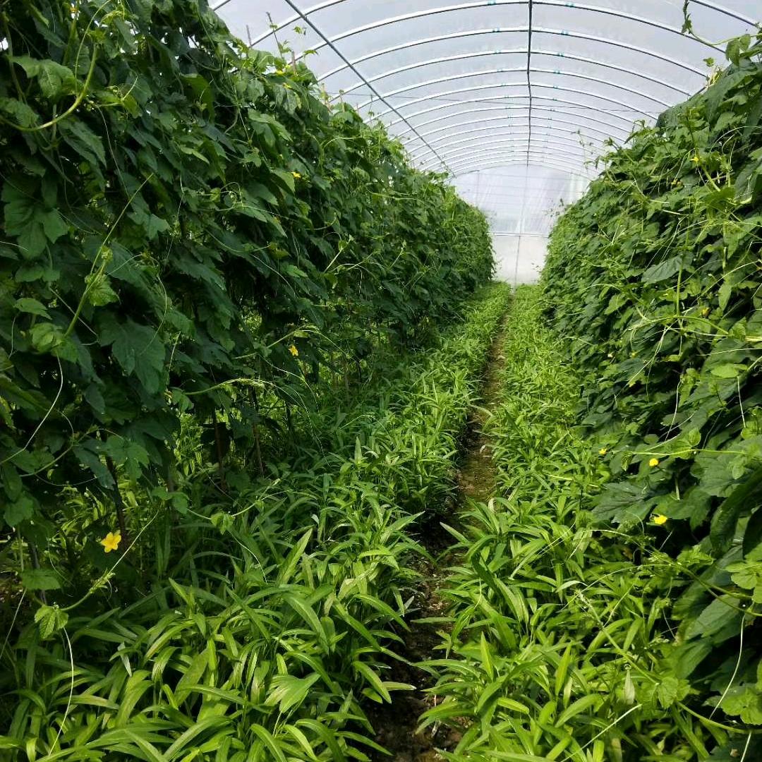 A 泽💯🇨🇳1⃣