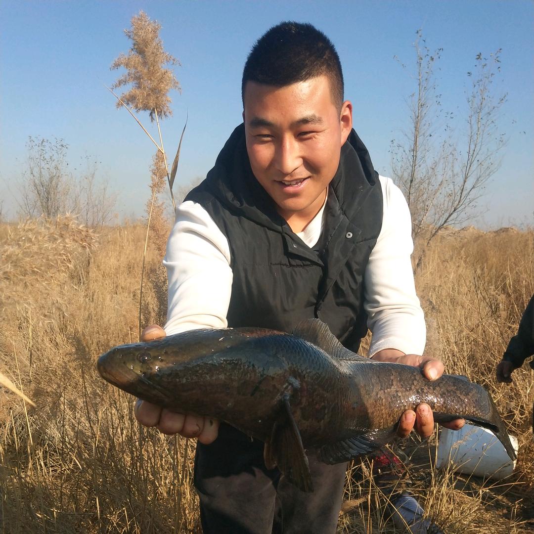 🇨🇳 圆 梦 钓 场