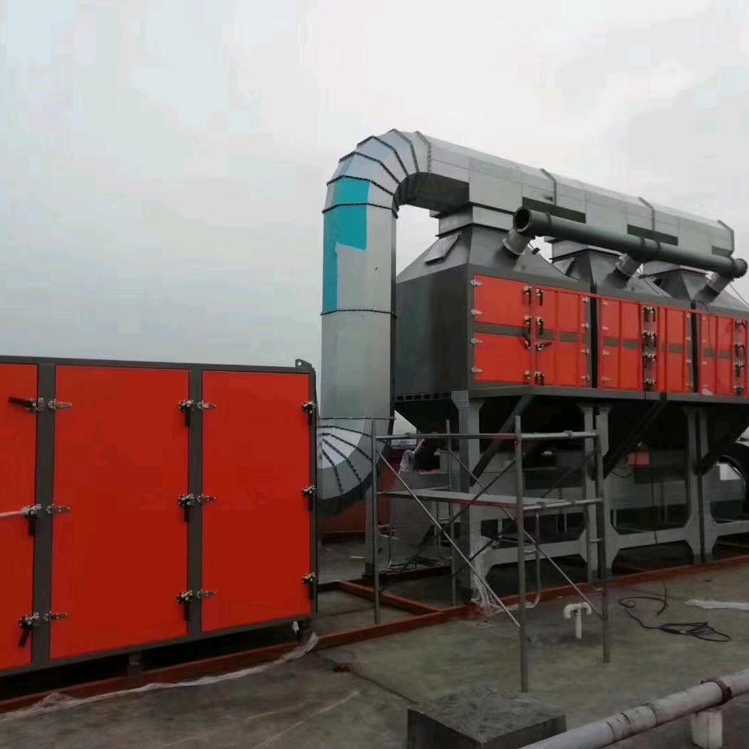 泽泽