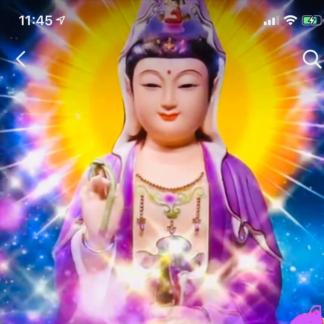 波罗提木叉📿