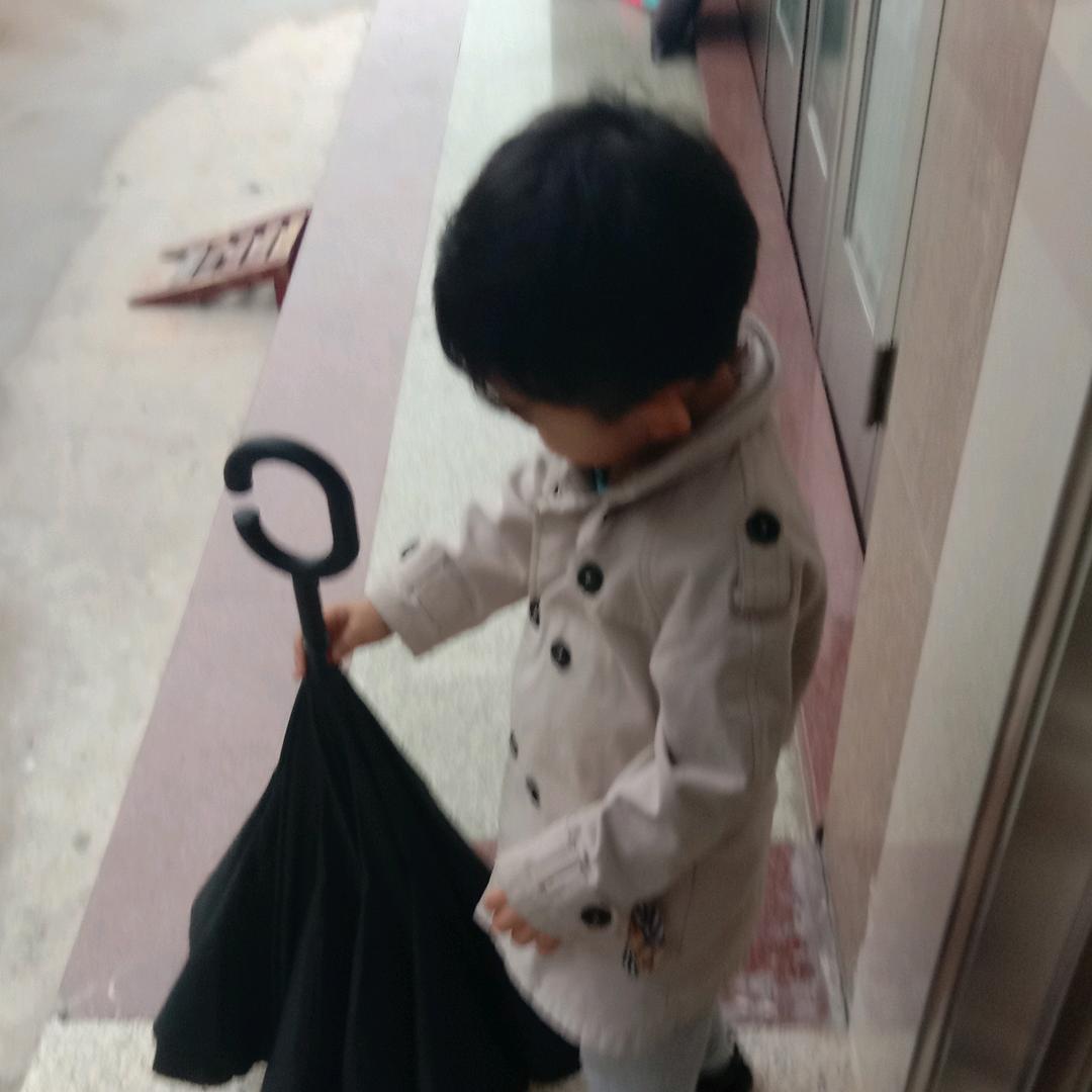 老实人王某
