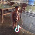 sandan