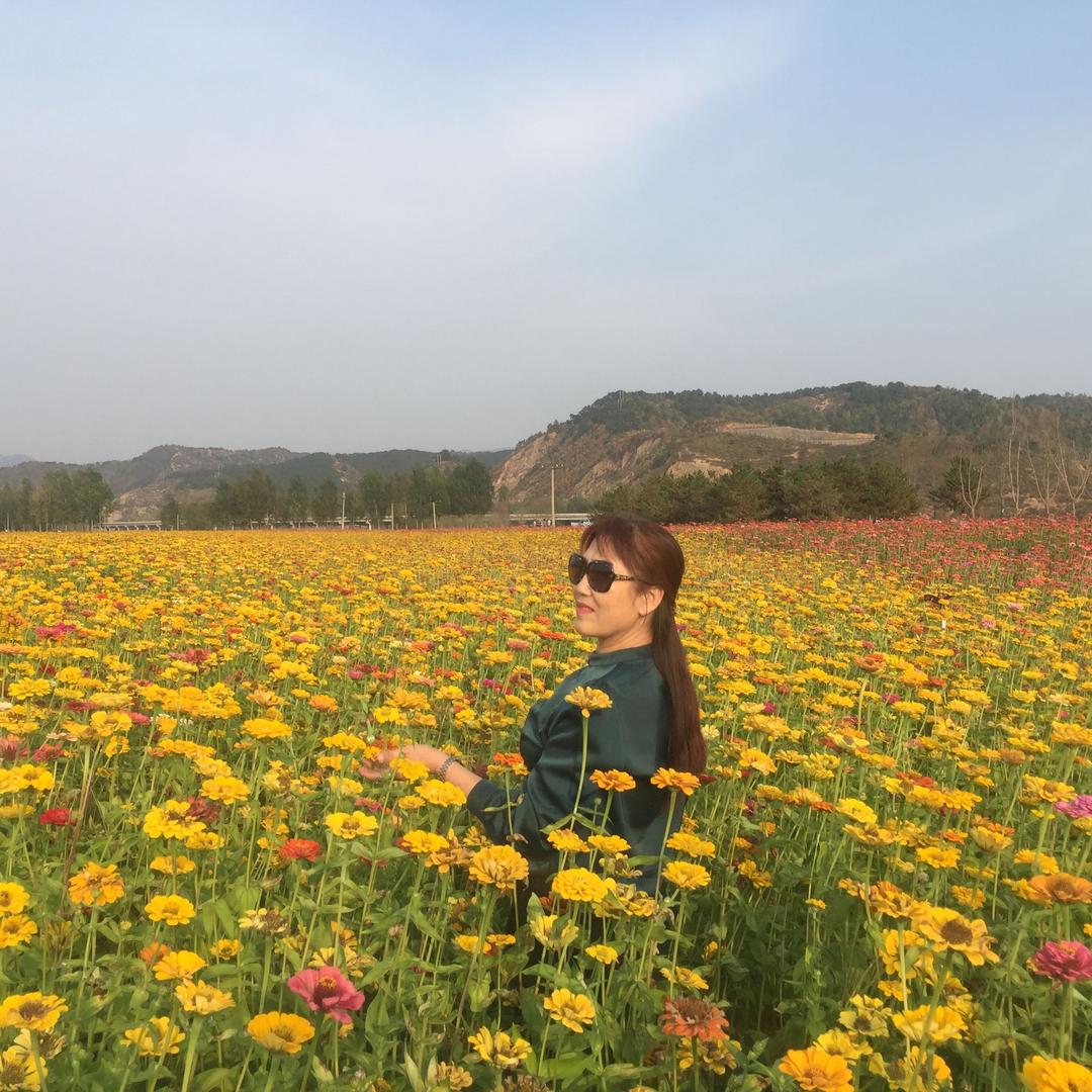 香香