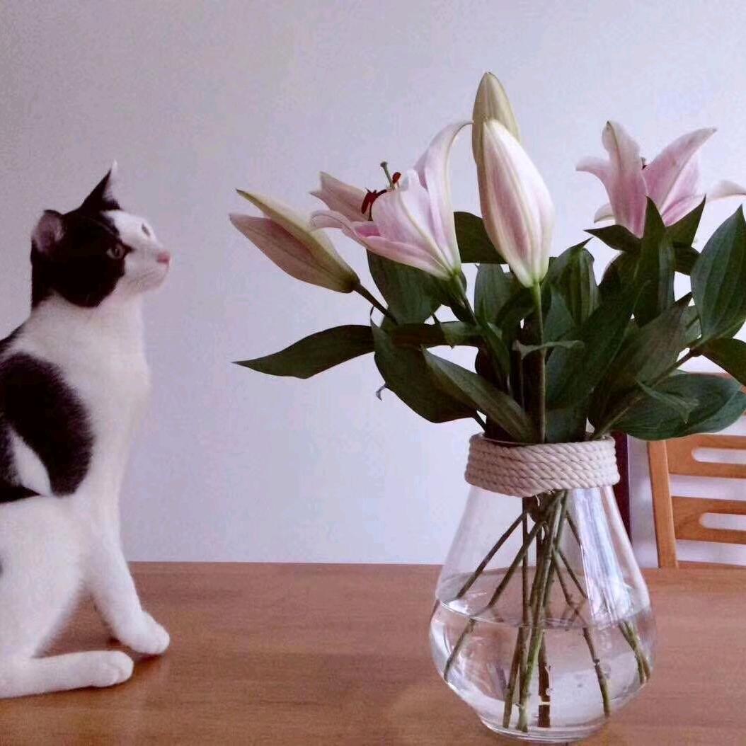 有亦可无亦然💫