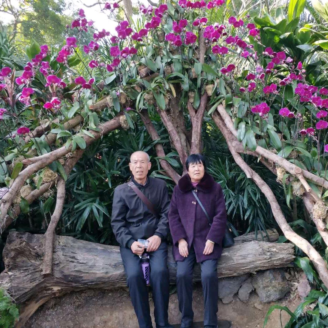 我是老玩童