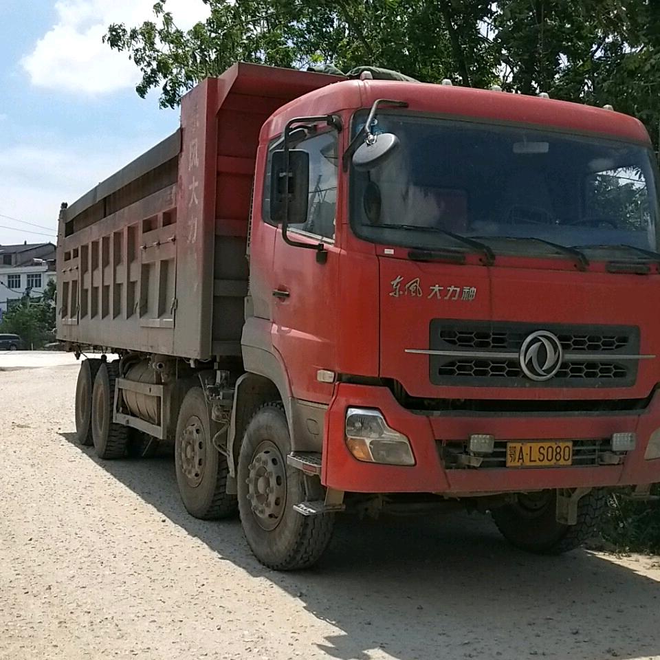 轩爸爸
