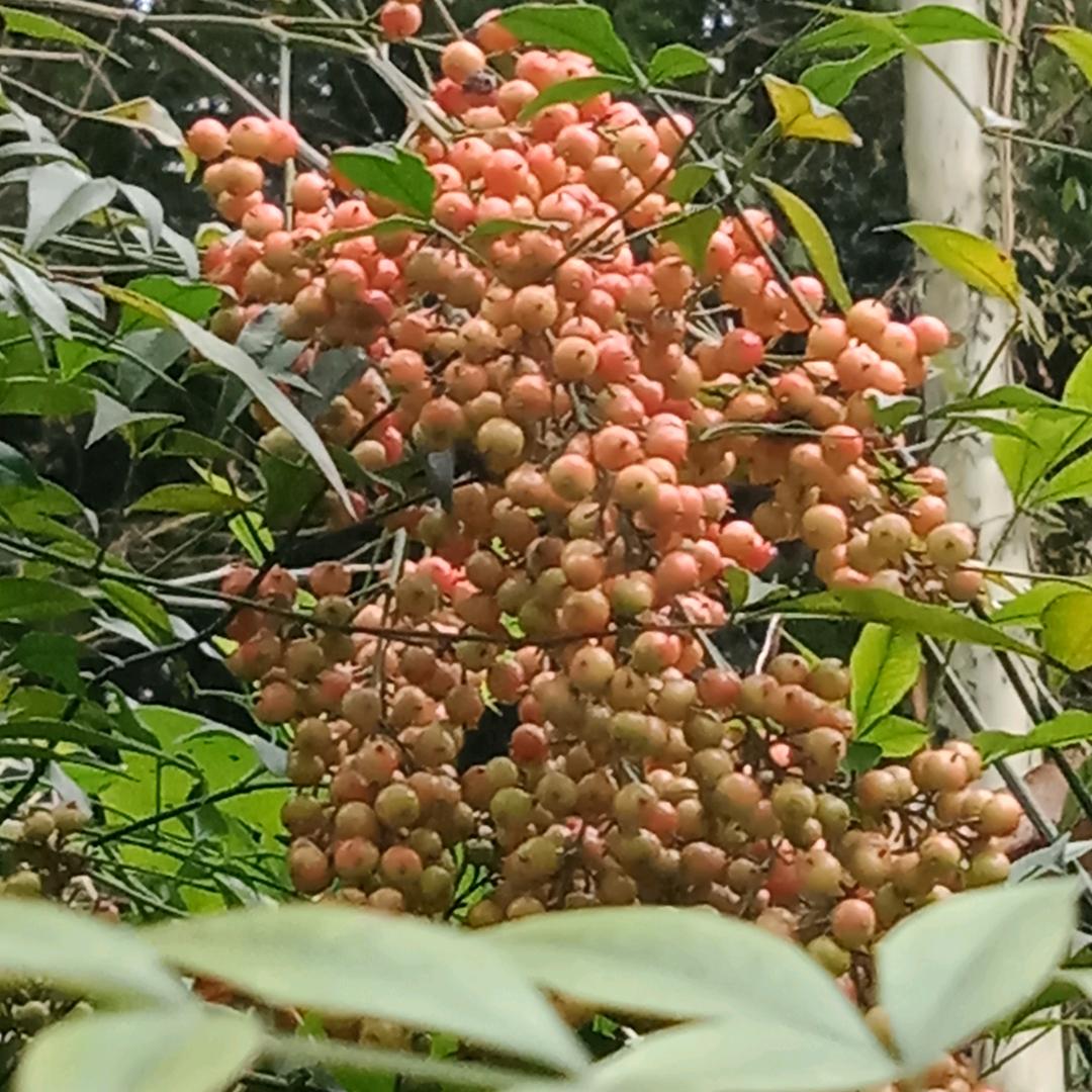 不忘初心