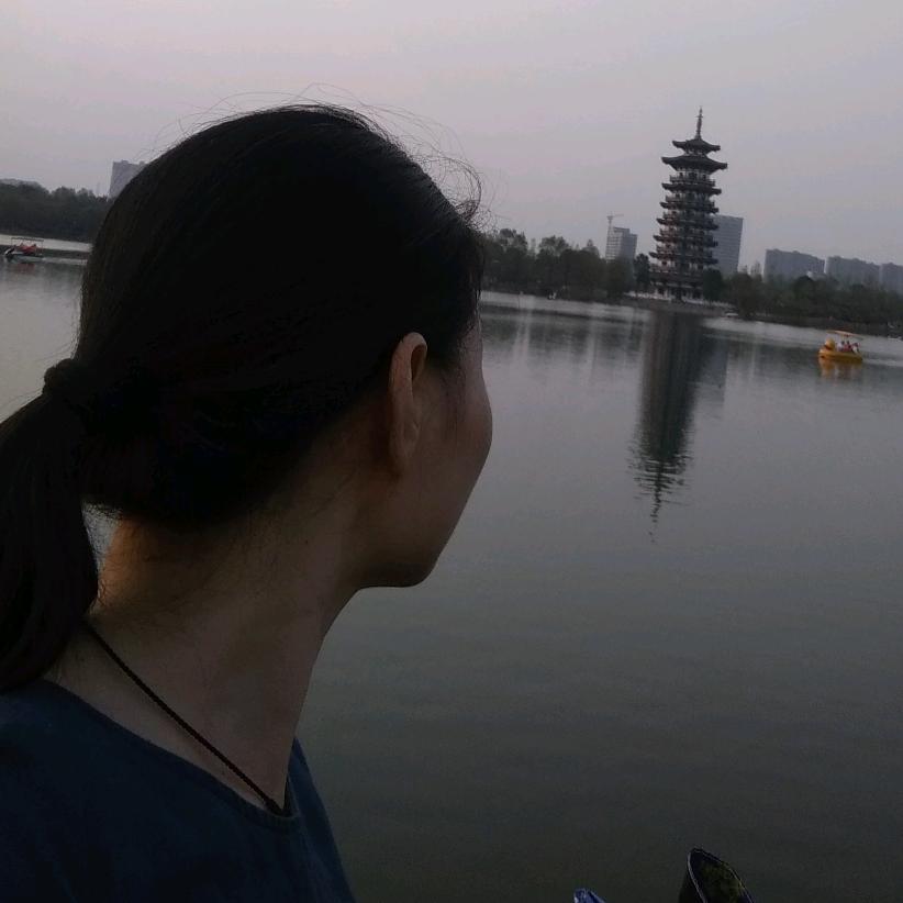 紫珊瑚