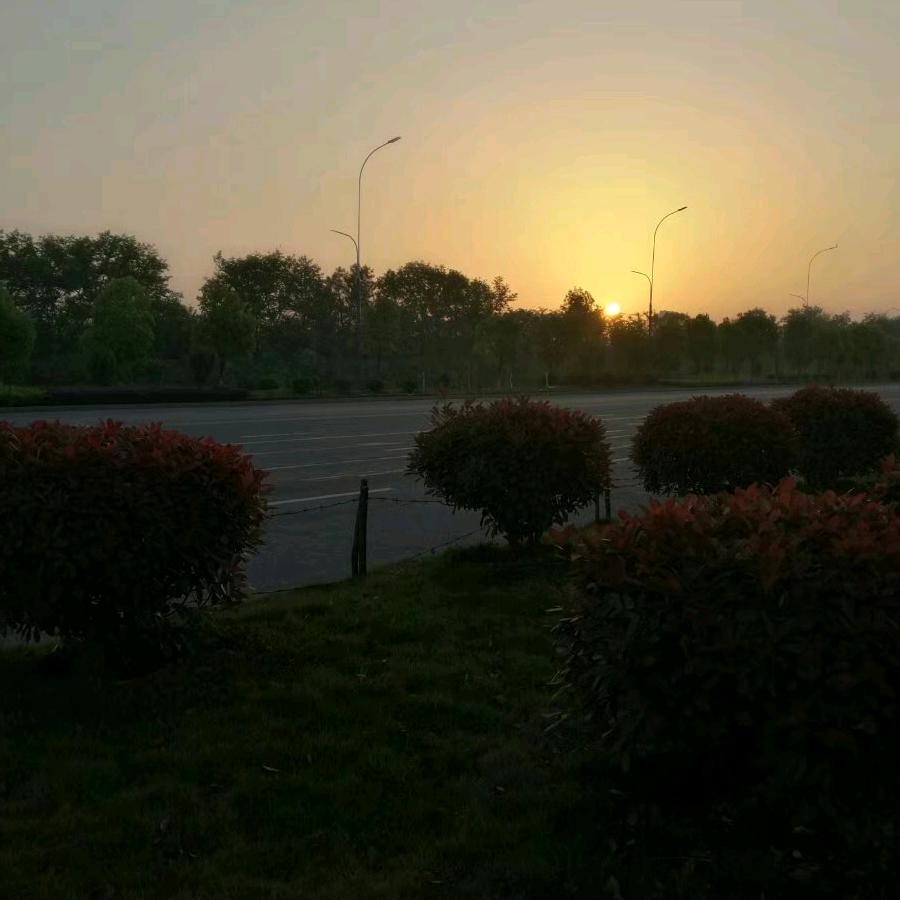 关注一青枫
