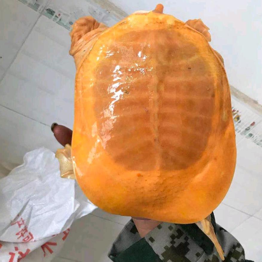 过好每一天