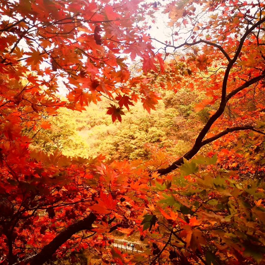 🕊ღ᭄ꦿ꯭蜗💞᭄᪲ᩚ꯭ᩚ牛🥀᪲꧔ꦿ