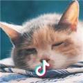 _______john·yie