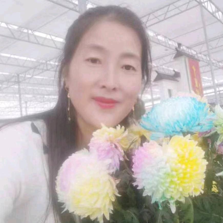 用户少儿杂技