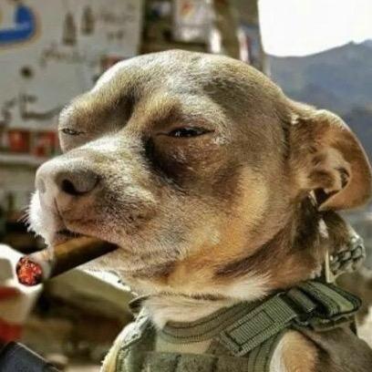 今天出门捡到钱