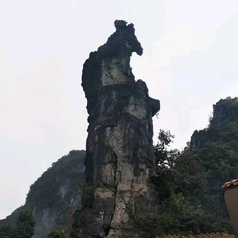 六办