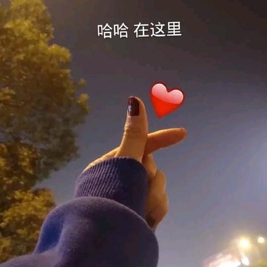 幸福❤️郑小锅