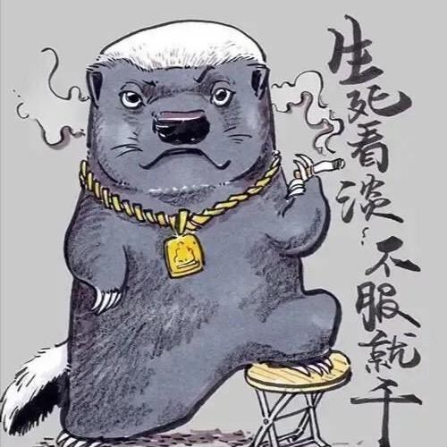 晓-的-胖