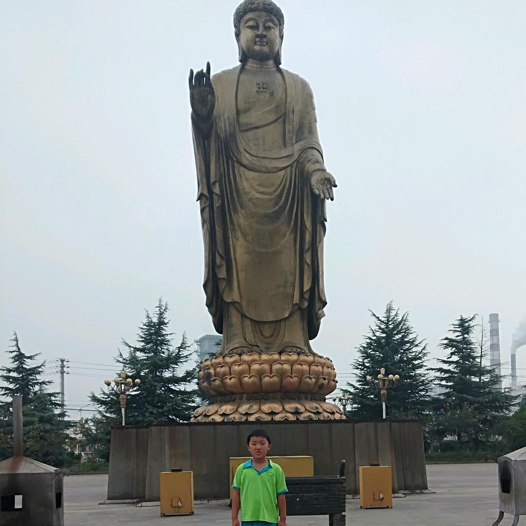 集卡小伙二哥
