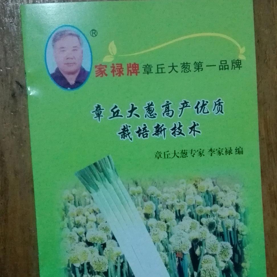 山东大葱家禄种业