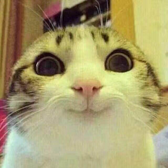 宝贝蛋