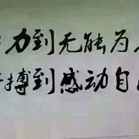 千年胡杨
