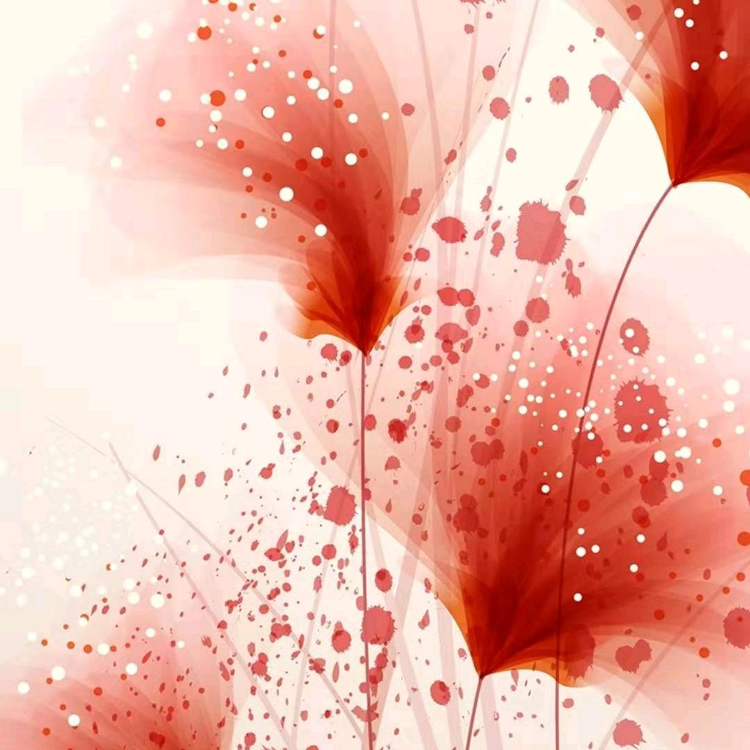 小白杨