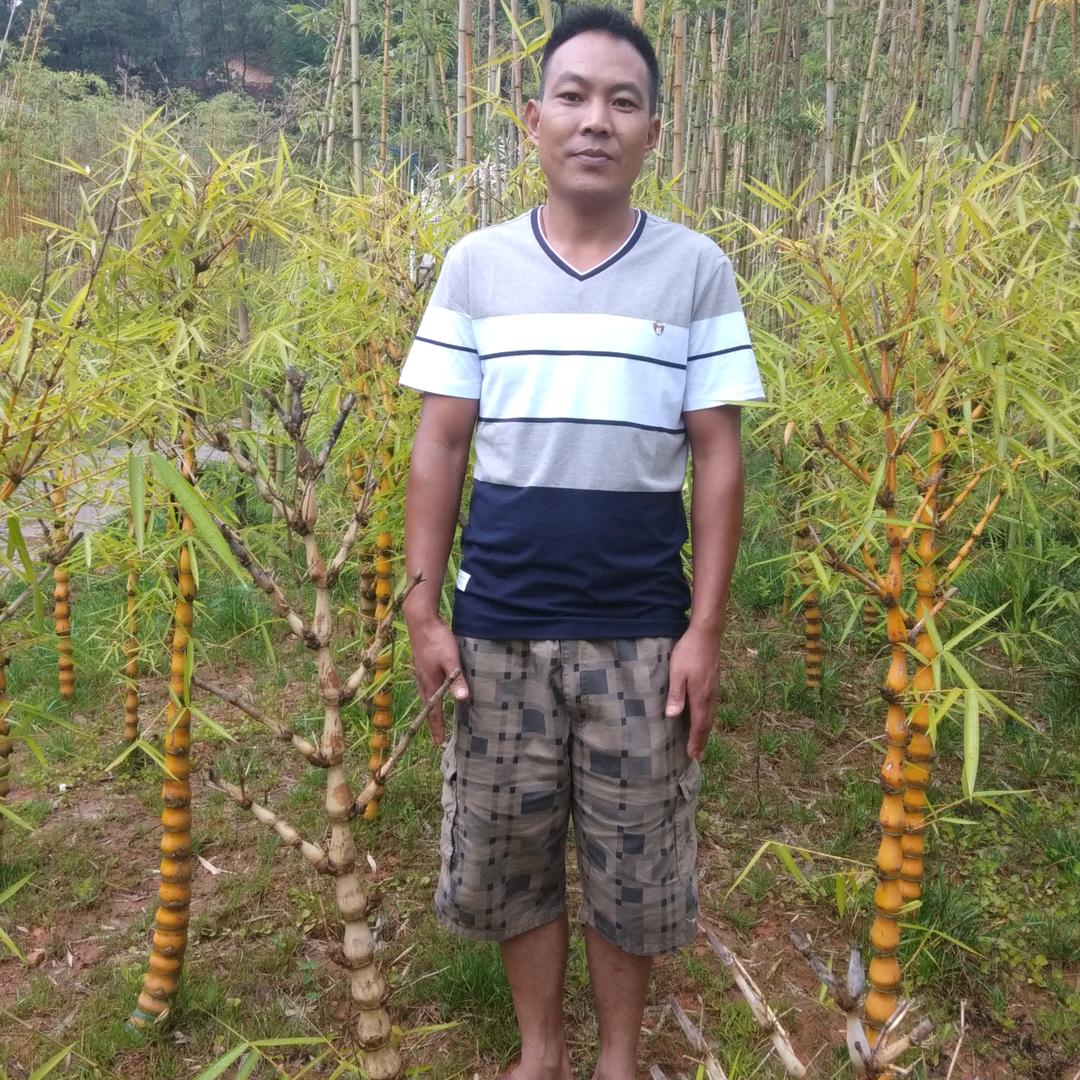 微风飘来见彩虹