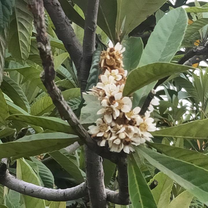 你有才就给我个网名吧