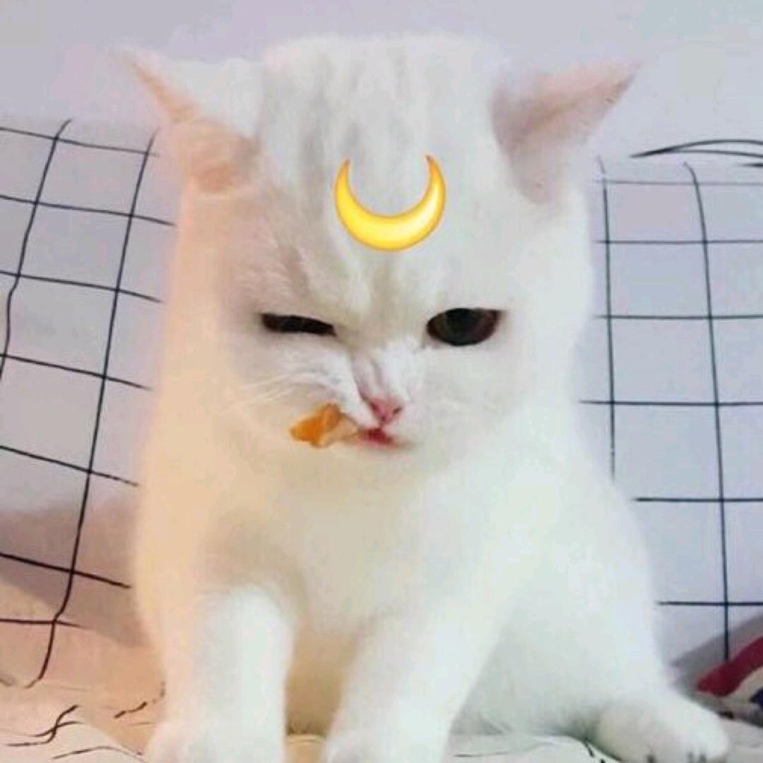 陈狒狒—