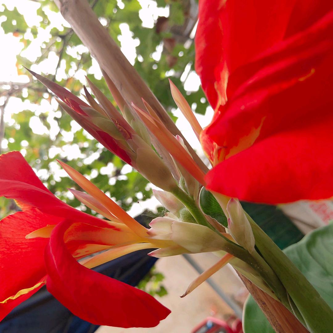 心有灵犀…二安建锋砂锅手擀面