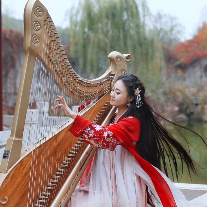 满宝箜篌（胡雪菲）🐲@抖音