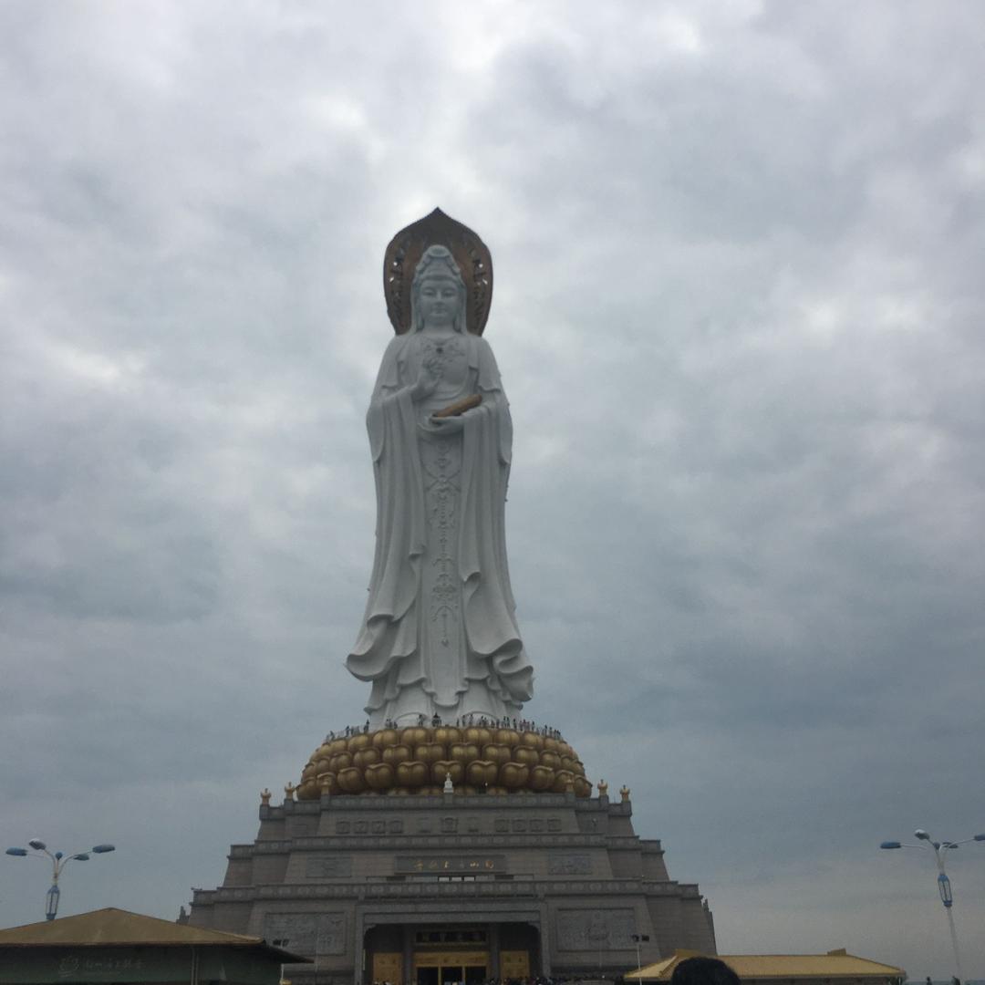 杨