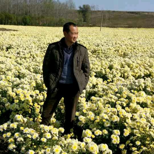 江涛养蜂厂