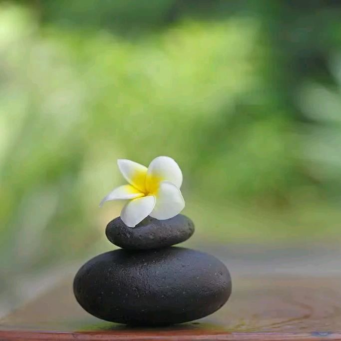 禅茶