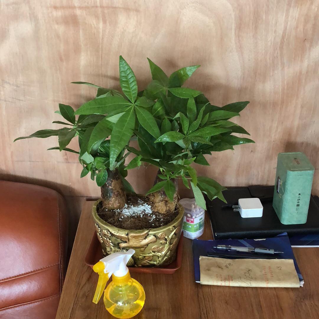 新兴新帝豪门窗