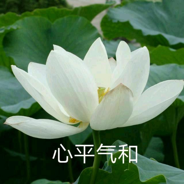 珍惜每一天((霞))