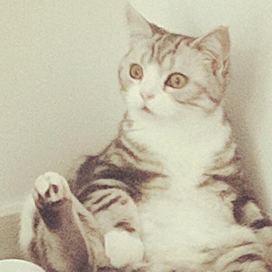 黄黄大猪蹄