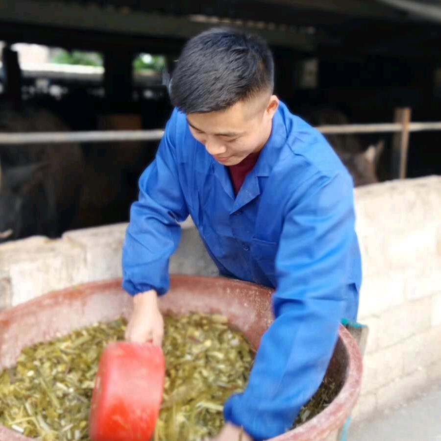 桂平市社坡肉牛养殖场